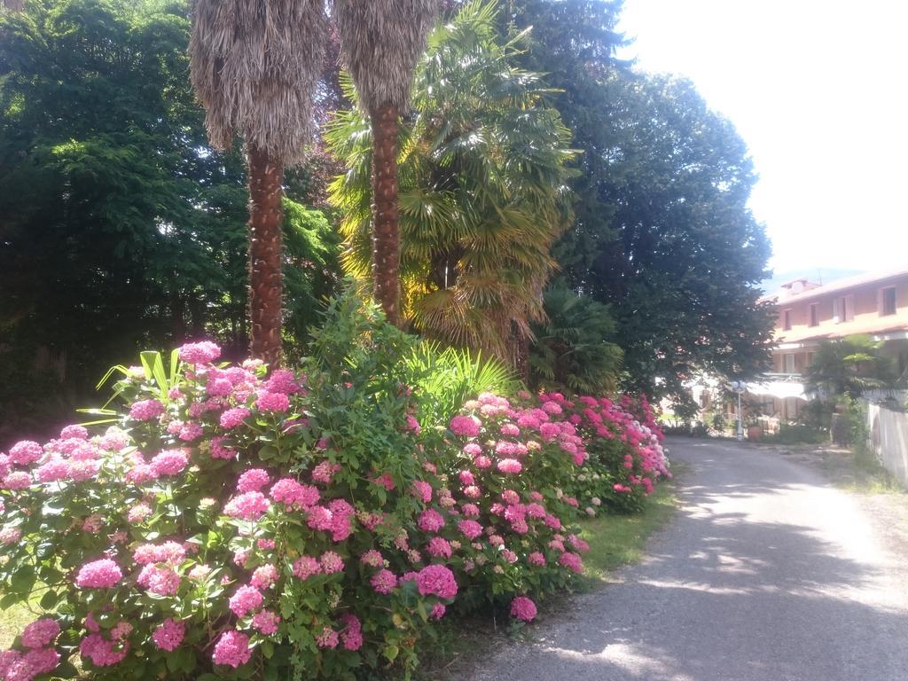 Hotel Le Mas Fleuri Vernet-les-Bains Kültér fotó