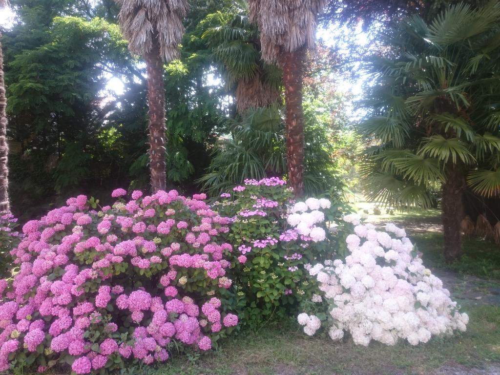 Hotel Le Mas Fleuri Vernet-les-Bains Kültér fotó