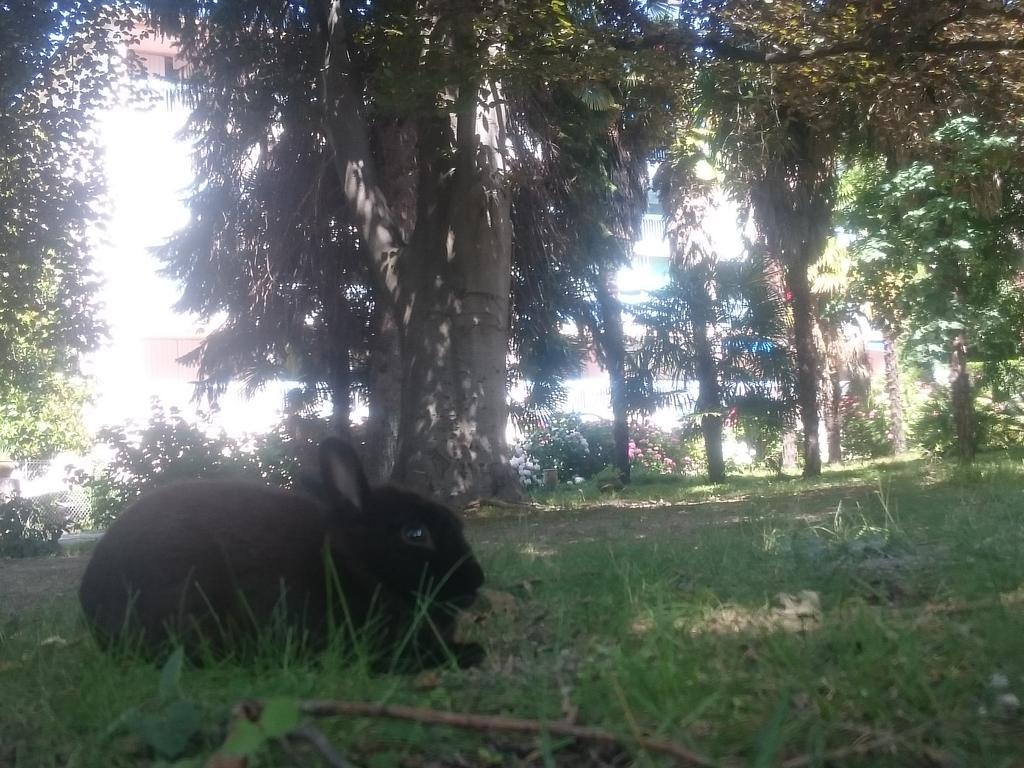 Hotel Le Mas Fleuri Vernet-les-Bains Kültér fotó