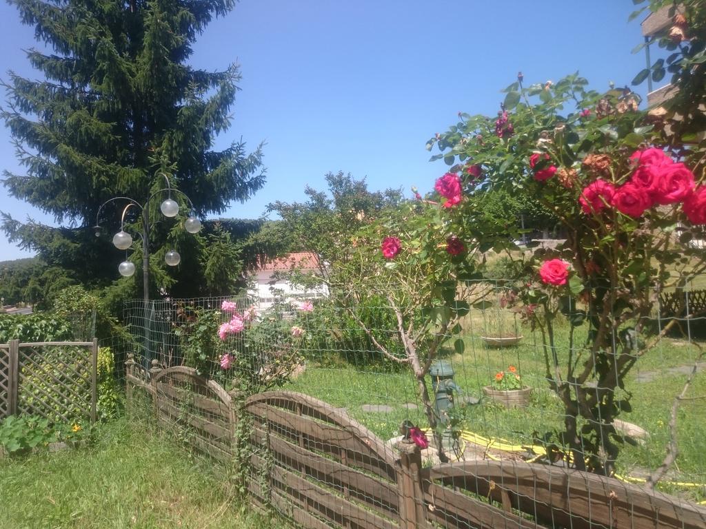 Hotel Le Mas Fleuri Vernet-les-Bains Kültér fotó